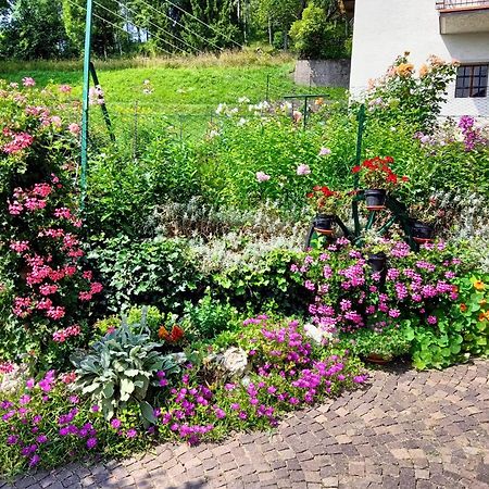 La Cesura Bed and Breakfast Carano  Εξωτερικό φωτογραφία